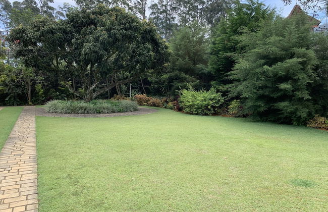 The Blossoms - Photo 9