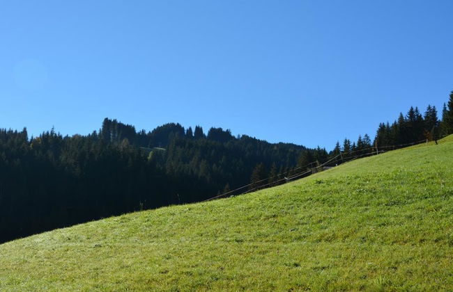 Hornflue (Wohlwender) - Foto 7