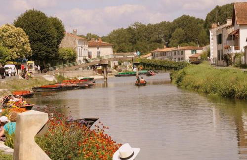 Luxury Villa in France with Pool - Foto 20