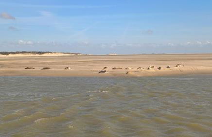 Charme Studio 103 Belle Dune - Foto 35