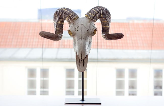 Abieshomes Serviced Apartments - Votivpark - Photo 73