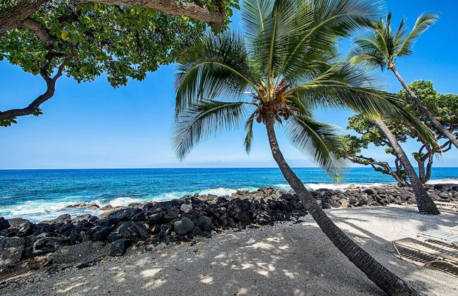 Kona Isle B31 - Foto 31