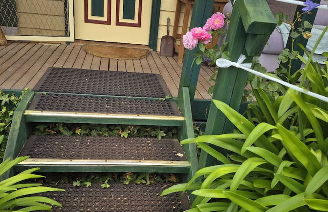 Abelia Cottage of Daylesford Botanical - Foto 7