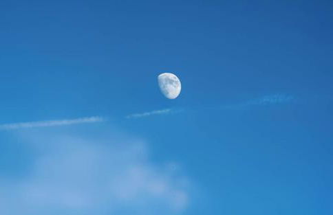 Carcará Vacation Homes - Foto 33