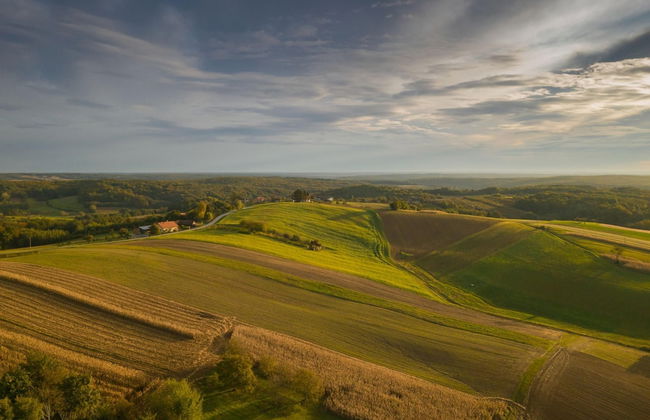 Ladybug House With Whirlpool - Foto 47
