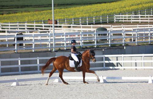 Agroturystyka Ranczo Gościszów - Foto 35