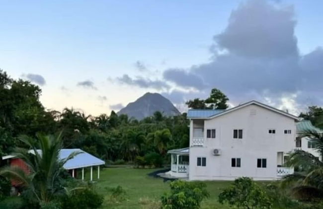 Tranquility Suites- Feels like home - Foto 48