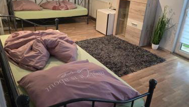 Mary Haus in Biebertal-Bieber, 4 Zimmer und 8 Betten, 1 App, mit 3 Zimmer, 6 Betten, Bad, 1 App, mit 1 Zimmer, 2 Betten, Bad, Nähe Gießen und Wetzlar, mit Küche, WLAN, Parkplatz - Foto 5