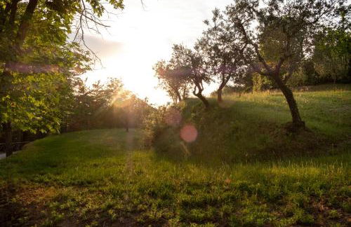 Agriturismo Le Cerque - Photo 46