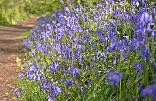 Ropewalk Cottage - A Little Treasure By The Coast - Foto 38