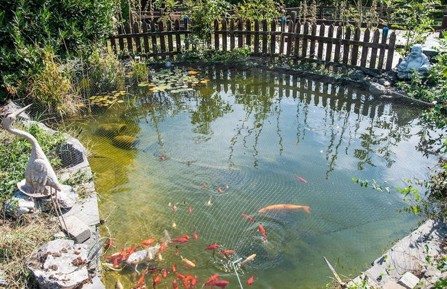 Charming Holiday Home in Houyet Near Forest - Foto 21