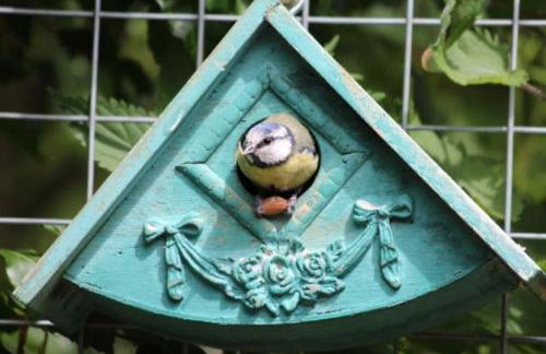 Upper Corronich - Foto 18