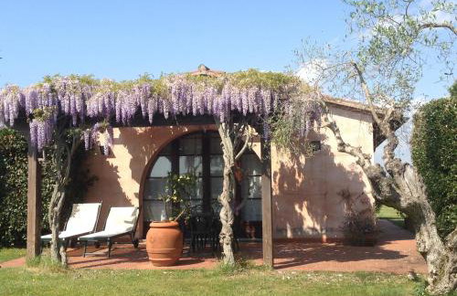 Fattoria Cirene - Foto 26