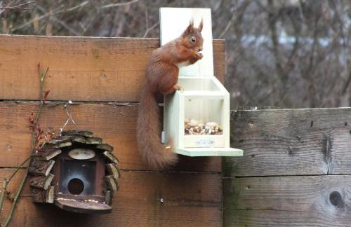 Woodburn ground-floor apartment in quiet setting in Pitlochry - Foto 34