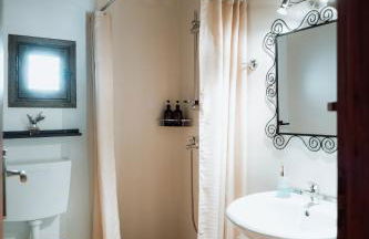 Olive Roots - Foto 39