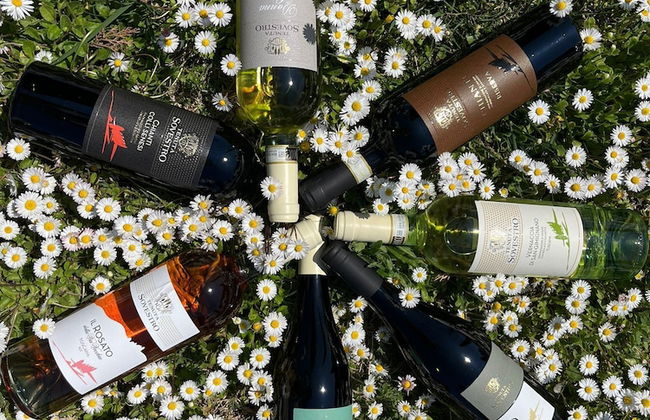 Tenuta Sovestro - Agriturismo e Winery - Photo 47