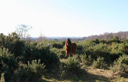 Stable Cottage - Photo 30