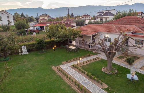 Castellano Vasiliki - Foto 27