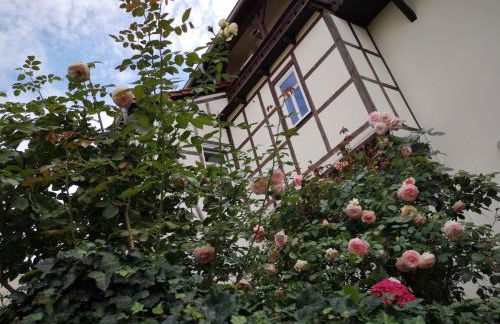 Altes Standesamt Weißensee - Foto 5