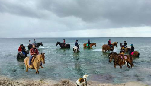 Meislahnhof Fehmarn - Foto 3