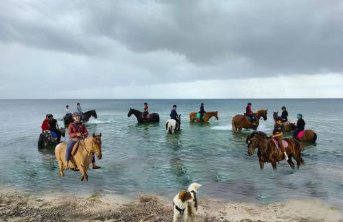 Meislahnhof Fehmarn - Foto 3