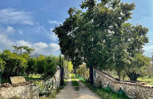 Casa dell'Antica Norba, Norma - big house - Foto 3