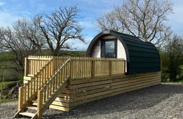 Carmel Pod - Photo 6