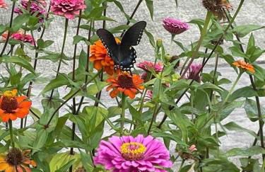 Crow's Nest - Private Guest Apt Near Bike Trail/3.7 mi to Beach - Foto 28