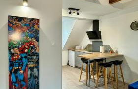 Charmant appartement 3 pièces proche hyper centre Strasbourg - Foto 14