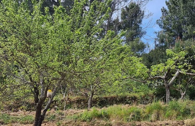 Quinta de Leandres - Foto 41