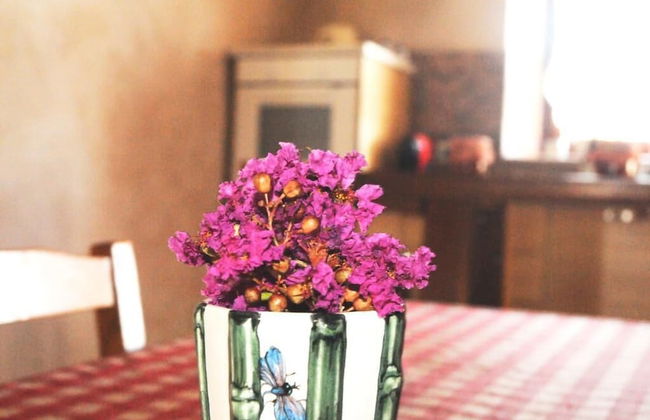 Agriturismo Magnarosa - Photo 19