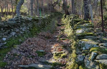 Appartement 2 terrasses face mer de 100m2 - Foto 34