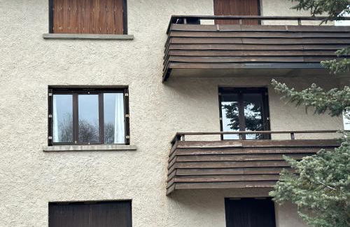 Pra-Loup 1500 Appartement spacieux et lumineux - Foto 2