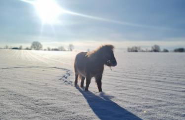 Naturcamp am See - Foto 16