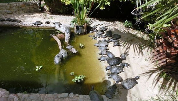 Agroflori and Villa Albina Palace - PrivateTour - Photo 5