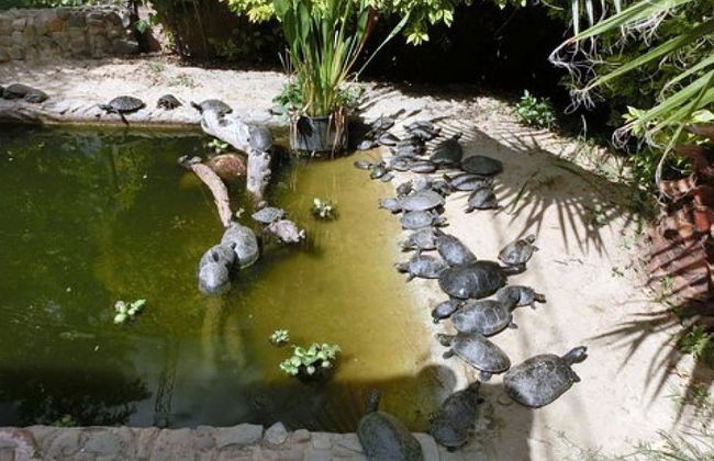 Agroflori and Villa Albina Palace - PrivateTour - Photo 5