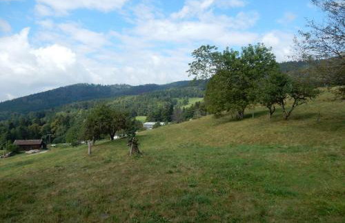 Holiday Home Vagney near Ski Gérardmer - Photo 37