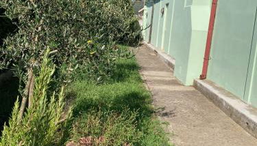 Dimora Nora, Alle porte di Pisa - Foto 2, Garden