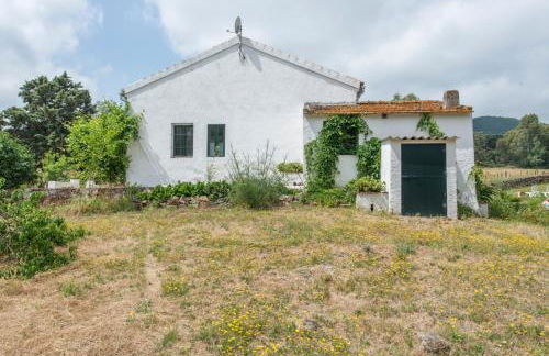 La Umbría de la Ribera - Foto 30