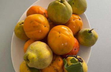 Cascina Boschetti - Foto 74