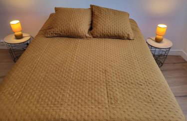 Le Pavillon de l'Intemporelle Bagnères de Bigorre - Foto 35