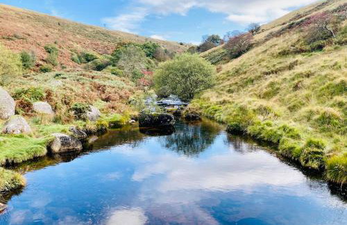 The Apple Shed - cosy cabin nestled in orchard in rural Devon - Foto 33