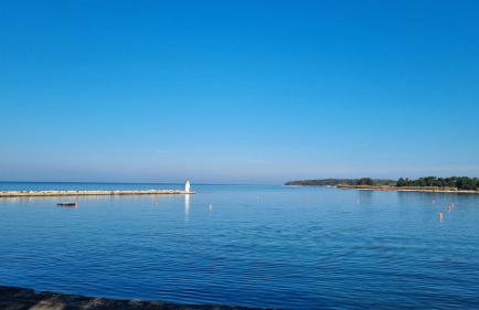 Old Harbour - Photo 23