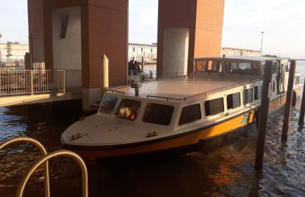 Villamamaeli - Photo 5