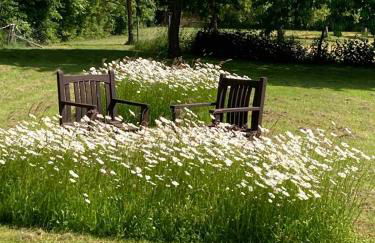 Ferienwohnung auf idyllischer Hofanlage in Lippe - Foto 45