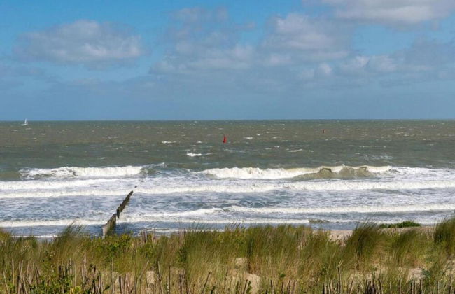 Villa Near North Sea Beach With Sauna - Photo 38