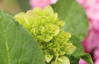 Apartment Fiorella - Foto 9