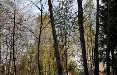 Odpoczynek Domki Pod Dębem z Opcją Jacuzzi - Foto 66