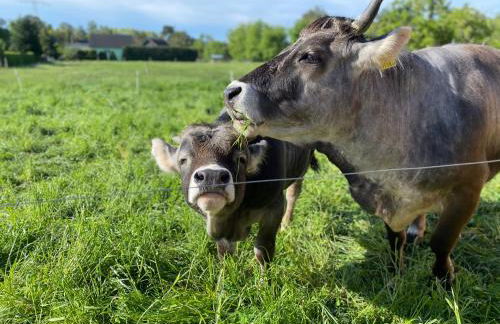 Ferienwohnung auf dem Bauernhof - Foto 3