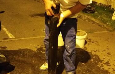 At Daniel's, 2 rooms near Paris STADE de FRANCE - Foto 13